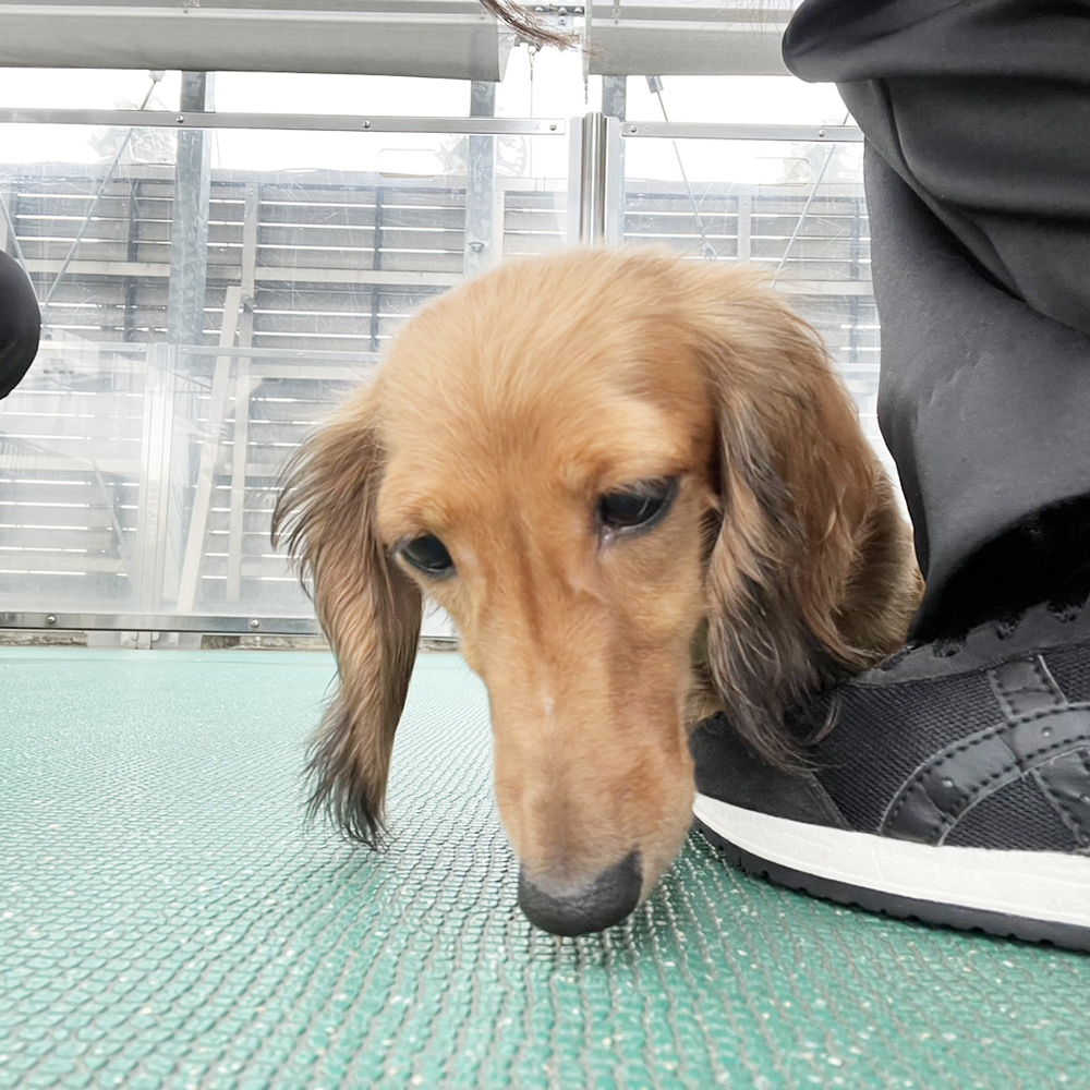 生徒が撮影した写真を送ってくれました！②